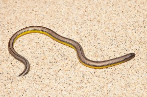 5388880614_fa51a2f4d9